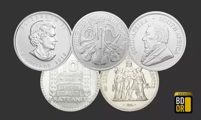Pièces d'Argent : quel investissement choisir ?