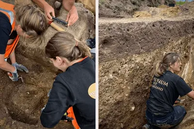 Des archéologues découvrent des armes en or datées de 900-830 av. J.-C. sur une île au Danemark