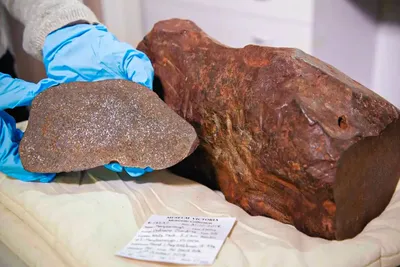 Il pensait que c'était de l'or, mais à l'intérieur de cette météorite vieille de 4,6 milliards d'années, il a trouvé quelque chose d'encore plus étrange.