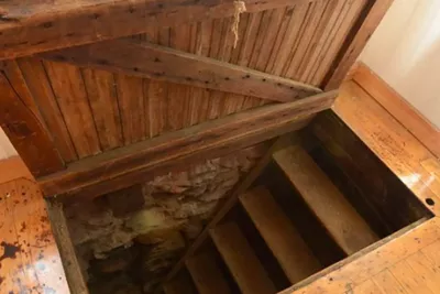 Il rénove une maison et découvre un trésor inestimable caché dans le sous-sol