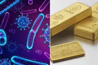 Incroyable, ces bactéries transforment nos déchets en or !