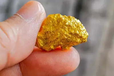 L’appareil électronique que nous jetons tous et qui contient 450 milligrammes d’or 22 carats