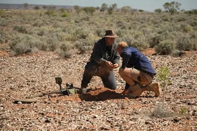 La ruée vers l’or version 2025 : quand les Américains ressortent les détecteurs de métaux