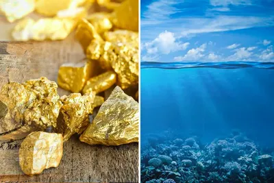 Le rôle secret de l'eau de mer dans la formation de l'or
