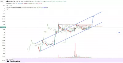 Le XRP va-t-il détrôner le Bitcoin après sa montée en flèche ? Découvrez la bataille passionnante avec la SEC américaine !