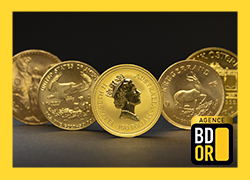 Les investisseurs Allemands se ruent sur l