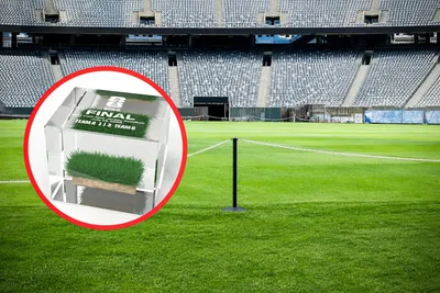 Payer 2240 euros pour un bout de pelouse ? La nouvelle idée de la FIFA fait réagir