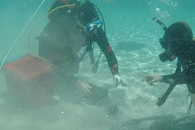 Un plongeur amateur trouve 50 000 pièces de monnaie du IVe siècle dans le sable...