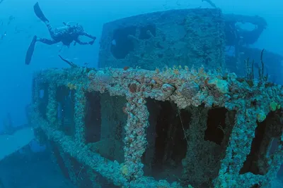 Une épave vieille de 650 ans retrouvée révèle un trésor exceptionnel de 136 kg