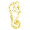 Poinçon Or Hippocampe 24 carats
