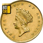 1 Dollar Or indian head Avers