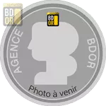 1 Franc Napoleon Revers empire 