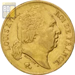 20 Francs Or Louis XVIII Buste Nu 20 Francs Or Louis XVIII Buste Nu