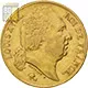 20 Francs Or Louis XVIII Buste Nu