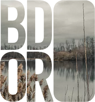 Achat Vente Or Poitiers - Agence BDOR