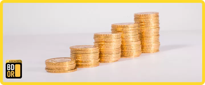 piece-expertise-par-un-expert-evaluation-or