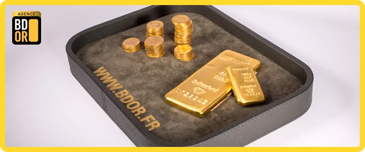 piece-lingot-or-presentation piece-lingot-or-presentation