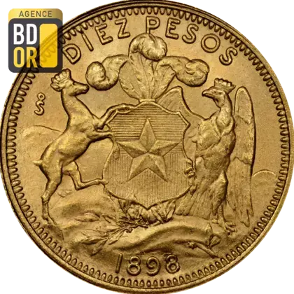 10 Pesos Or 1895 à 1901