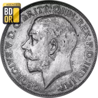 1 florin george V 1ere effigie 925â€°