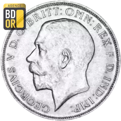 1 florin George V 1ere effigie argent