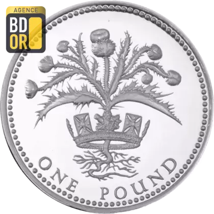 1 livre Elizabeth II 3e effigie, chardon écossais, argent, piéfort