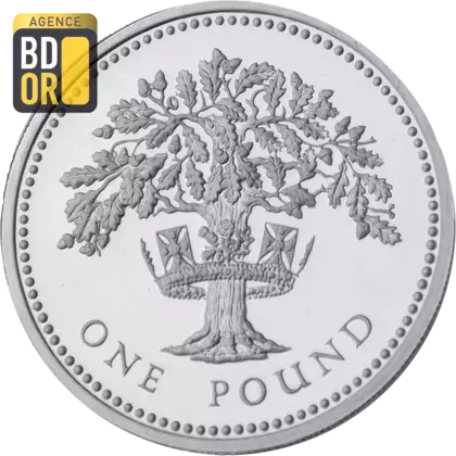 1 livre Elizabeth II 3e effigie, chêne anglais, argent