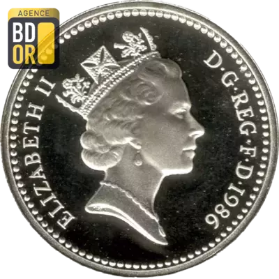 1 livre Elizabeth II 3e effigie, lin nord-irlandais, argent