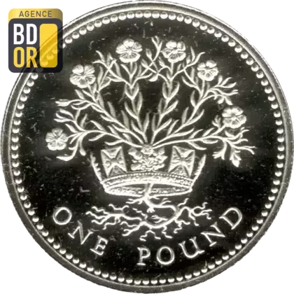 1 livre Elizabeth II 3e effigie, lin nord-irlandais, argent