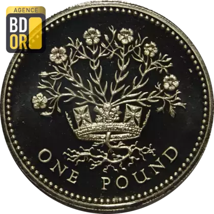 1 livre Elizabeth II 3e effigie, lin nord-irlandais, argent, piéfort