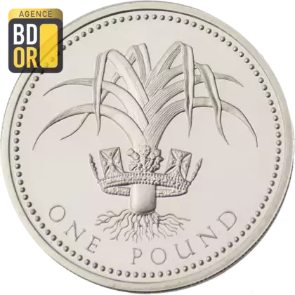 1 livre Elizabeth II 3e effigie, poireau gallois, argent