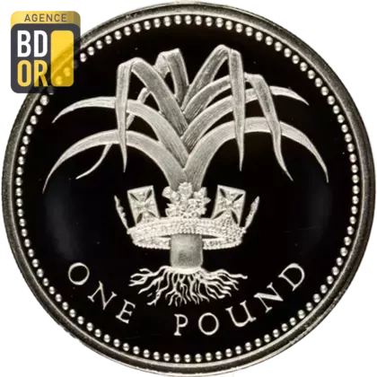 1 livre Elizabeth II 3e effigie, poireau gallois, argent, piéfort