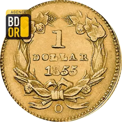 1 $ Tête d'Indienne