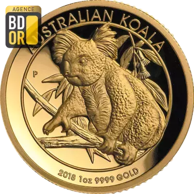 Koala Once Or