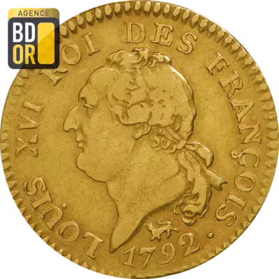 Louis d'Or de 24 Livres - Louis XVI