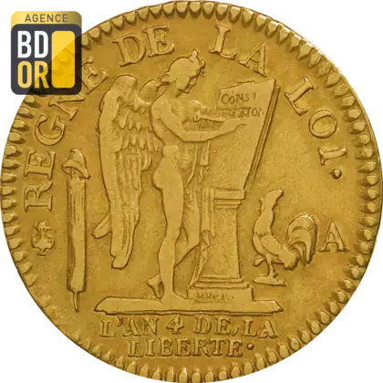 Louis d'Or de 24 Livres - Louis XVI