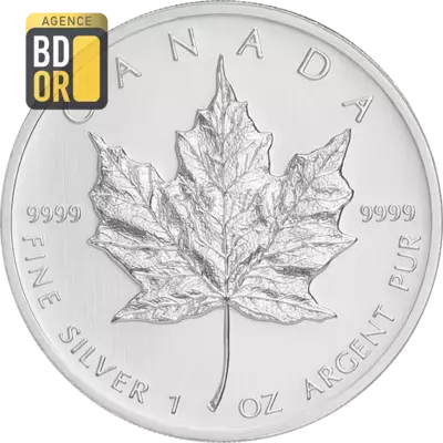 Maple Leaf Once Argent