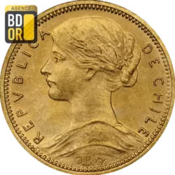 10 Pesos Or 1895 à 1901