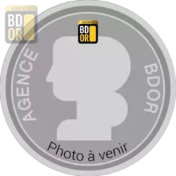 Ecu 6 Livres Louis XVI Roi Français