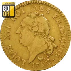 Louis d'Or de 24 Livres - Louis XVI