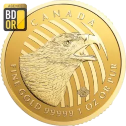 Pieces Or Call of the Wild