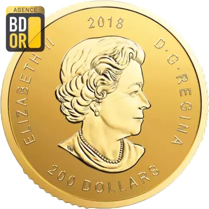 Pieces Or Call of the Wild 